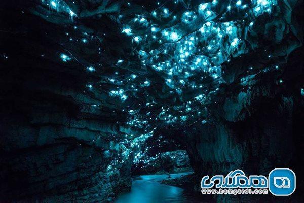 تاریخچه Waitomo Gloworms Caves ، عجیب ترین جاذبه طبیعی دنیا